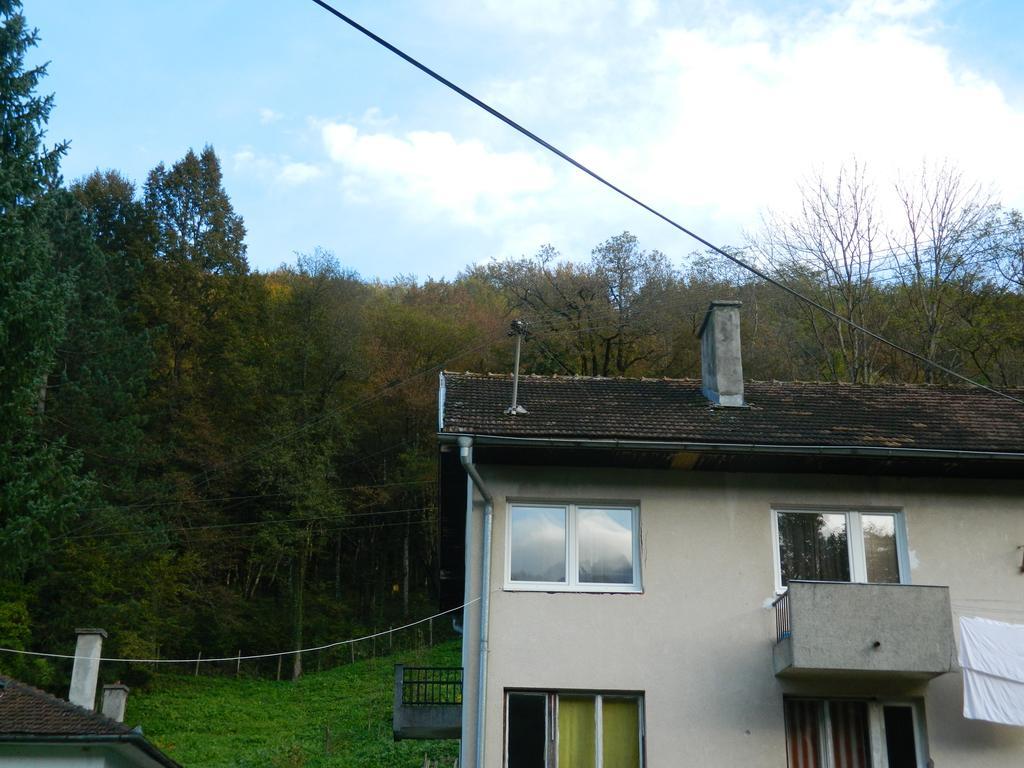 Apartment Sutjeska *