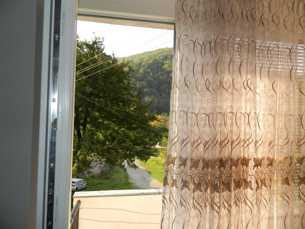 Sutjeska Apartmán *